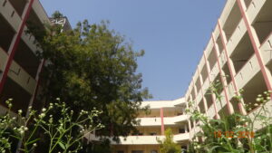 DSC00162